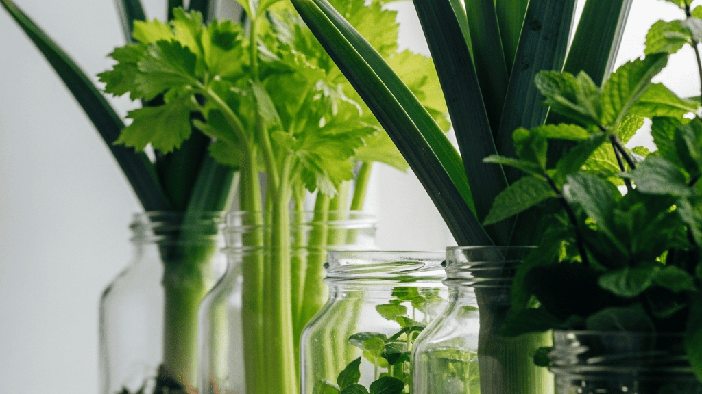 A tidy row of mismatched glass jars and small bowls on a wooden sill, each labelled with a different regrowing food, green tops catching the window light