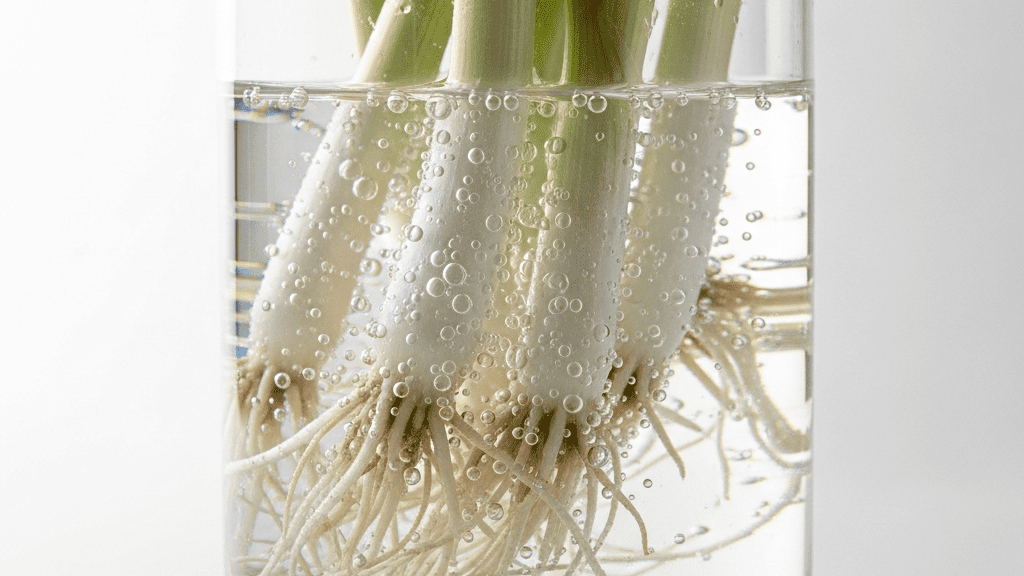 Extreme close-up of fresh white roots emerging from a scallion base submerged in a clear glass, water catching the light, faint green shoots at the top